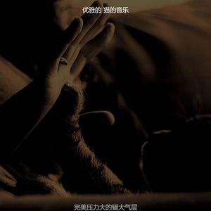 抚慰的压力大的猫回忆