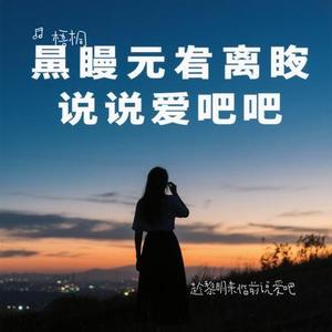 趁黎明来临前说爱吧 (梧桐 Remix)