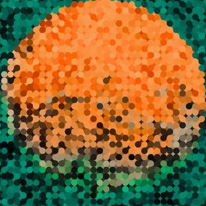 Babesiosis (Dimmy D-Mix) (Dimmy D-Mix)