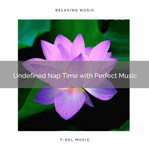 Compositions to Make Peace with The World, Take a Nap and Get It Now
