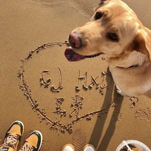 锤娜丽莎-我太笨【DJ热搜版】（怪 remix）