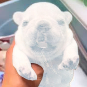 #Killpibbygabe