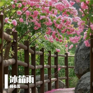 冰箱雨
