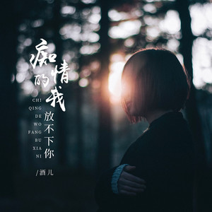 痴情的我放不下你 (和声伴奏)