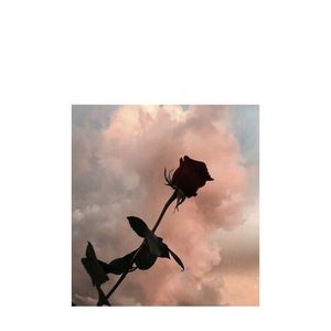 一人饮酒醉（翻自 沈雨萱）