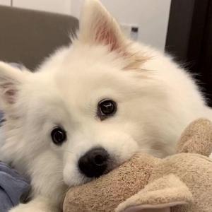 三月不适合做决定