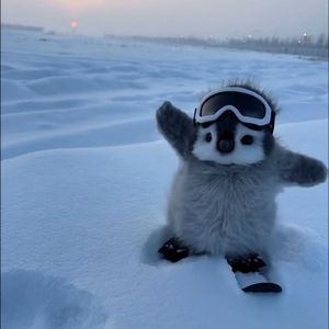 人和人还是淡淡的好