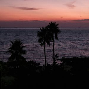 爱是自由意志的沉沦（纯音乐）