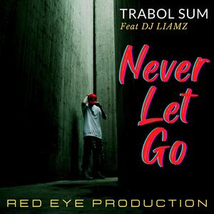 Never Let Go (feat. DJ Liamz)