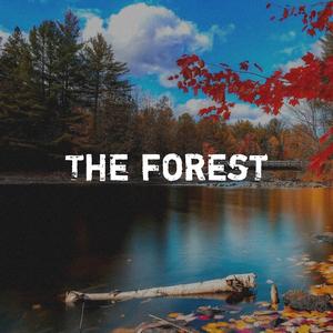 THE FOREST