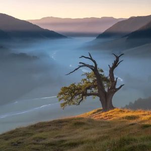 희미한 빛의 끝