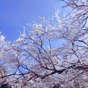 Sacred Play Secret Place + 罗生门