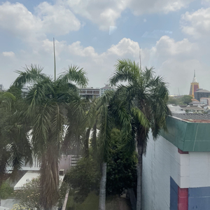 青春忆念里的破茧重生