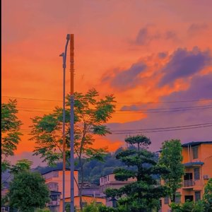 荷塘月色—1个球