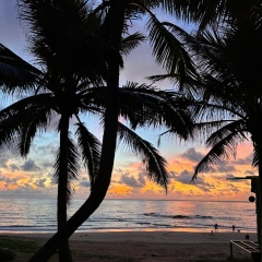 我们也可以去散步