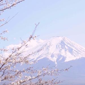 春日樱亭
