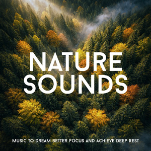 熟睡ギターBGM 睡眠の質を高めるヒーリング音楽 (自律神経を整える睡眠用 森 鳥)