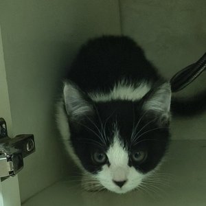 80-90-00梦幻怀旧服