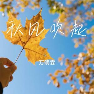 秋风吹起 (Cover 清唯)