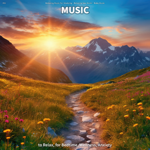 Fantastic Background Music Sleep Aid