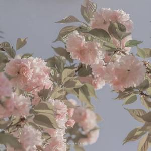 【填翻】一首在深夜写给你的歌