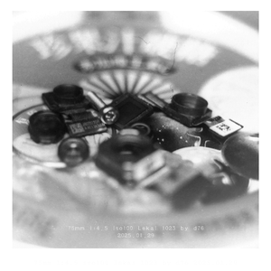 法国街区（Ocean）