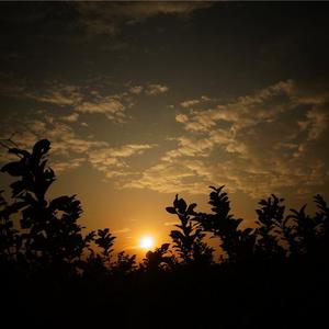 你走以后1.0（skr版）