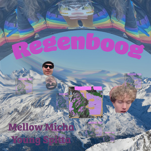 Regenboog