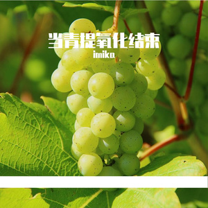 当青提氧化结束