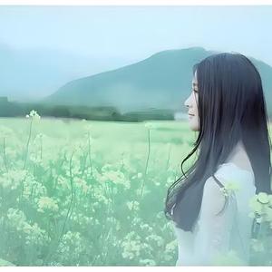 十里春风深版
