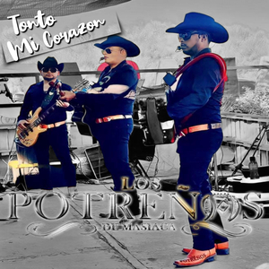 Tonto Mi Corazón (En vivo)