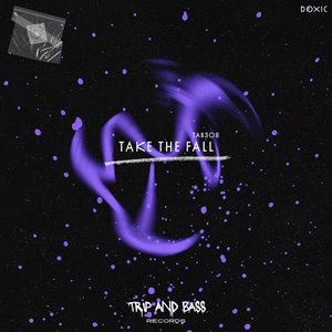 Take The Fall (Extended Mix)