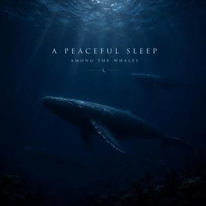 Peaceful Sleep Among the Whales – Deep Brown Noise