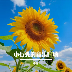 旧照片里的夏天_