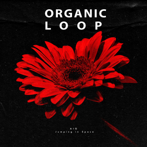 Jumping in Space (Original Mix)