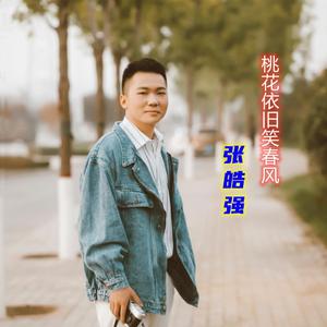 桃花依旧笑春风（新版）（翻自 蒋大为）