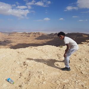 שאריות של החיים