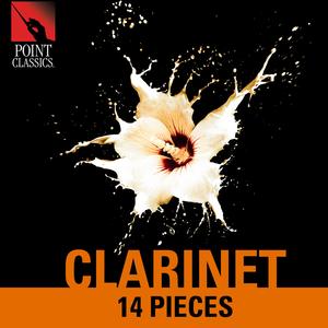 Clarinet Concerto, Op. 57, Fs 129: III. Allegro Un Poco