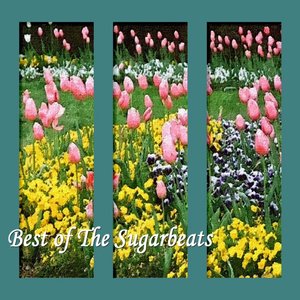 Signs of Life (Christmas)