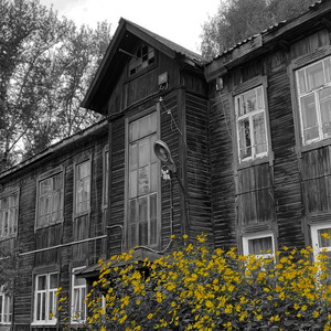 Голос Родины