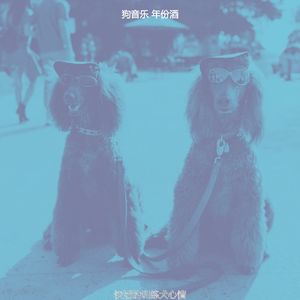 一尘不染小狗印象数