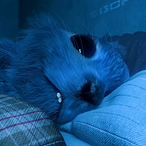 위아래하다가 현실 분실