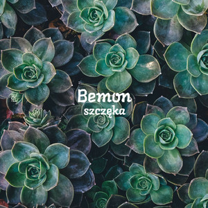 Bemon szczęka