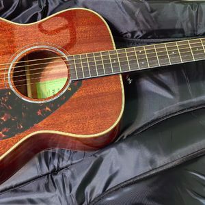 流浪歌手的情人(片段)