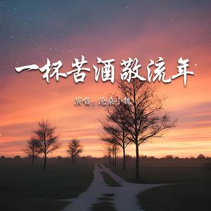 一杯苦酒敬流年