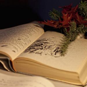 Anlatamam Derdimi Dertsiz İnsana (Üstad Misafirler: Aşık Veysel)