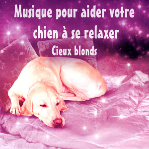 Promenade dans le parc