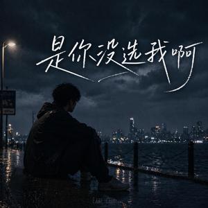 是你没选我啊