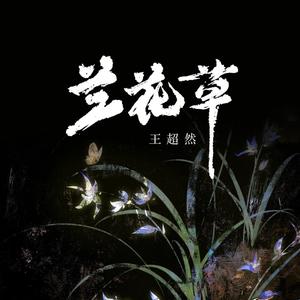 兰花草 (DJ豪大大版伴奏)