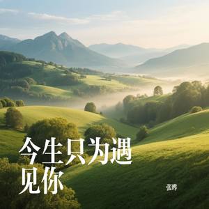 今生只为遇见你